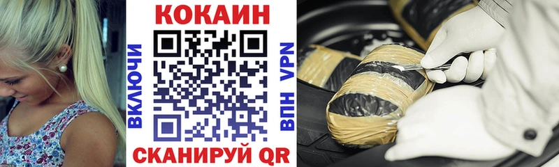 COCAIN Fish Scale  где купить наркоту  Новотроицк 