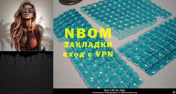 твердый Пересвет