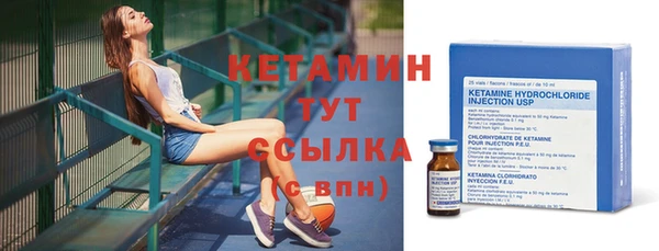 шишки Переславль-Залесский