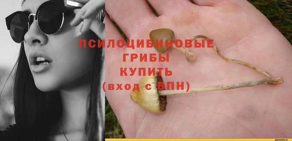 твердый Пересвет