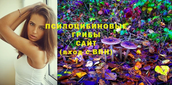 шишки Переславль-Залесский