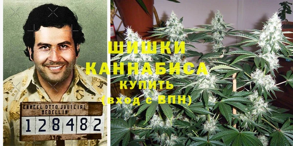 стафф Аркадак