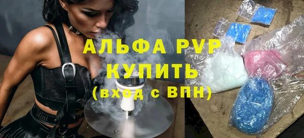 твердый Пересвет