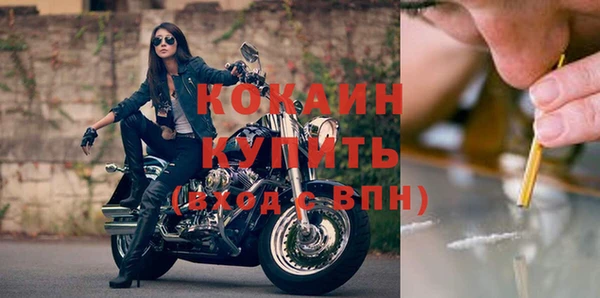 твердый Пересвет