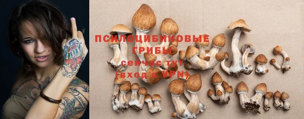 шишки Переславль-Залесский