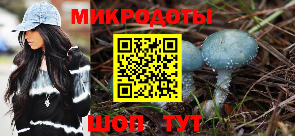 купить закладку  Новотроицк  Галлюциногенные грибы Cubensis 