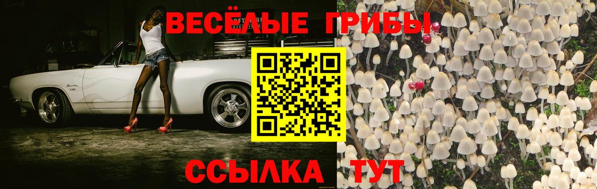 Новотроицк  наркотики  Вход с VPN  Псилоцибиновые грибы Magic Shrooms 